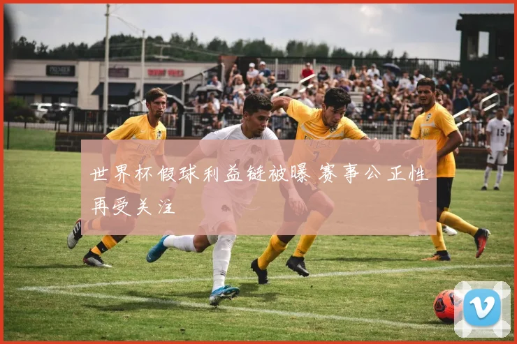 世界杯假球利益链被曝 赛事公正性再受关注